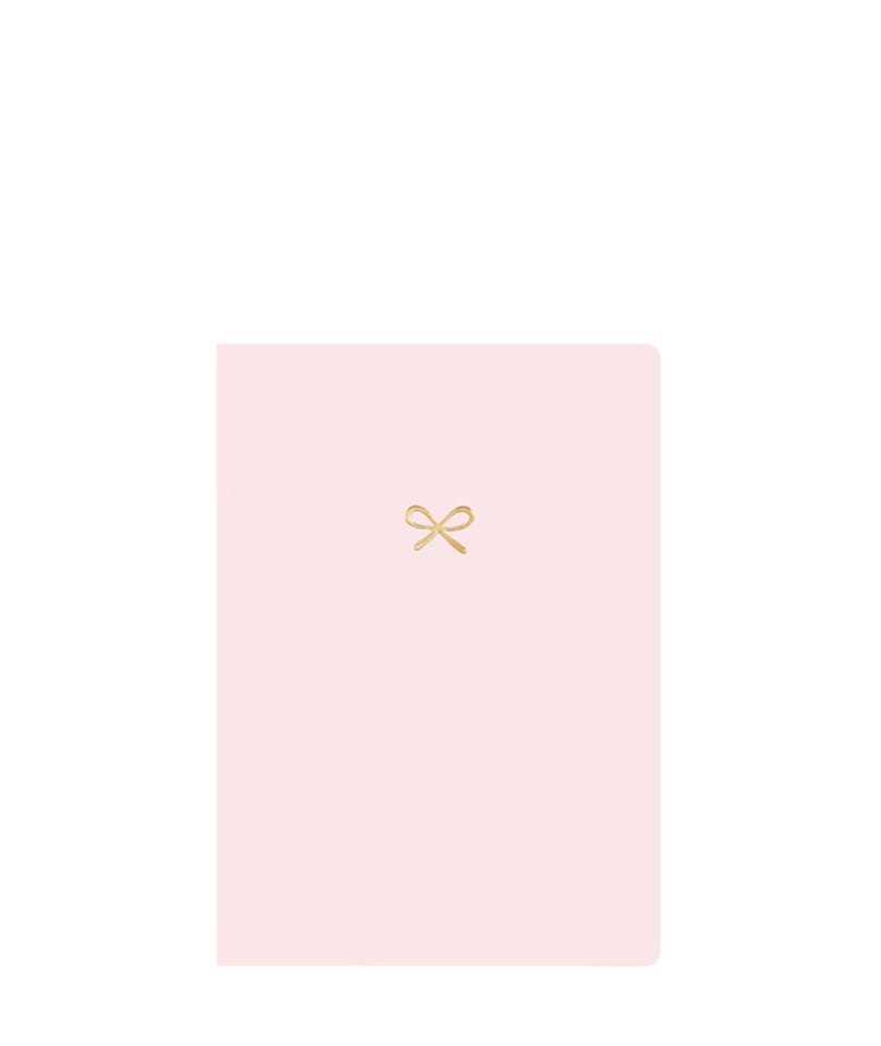 PINK PASSWORD JOURNAL